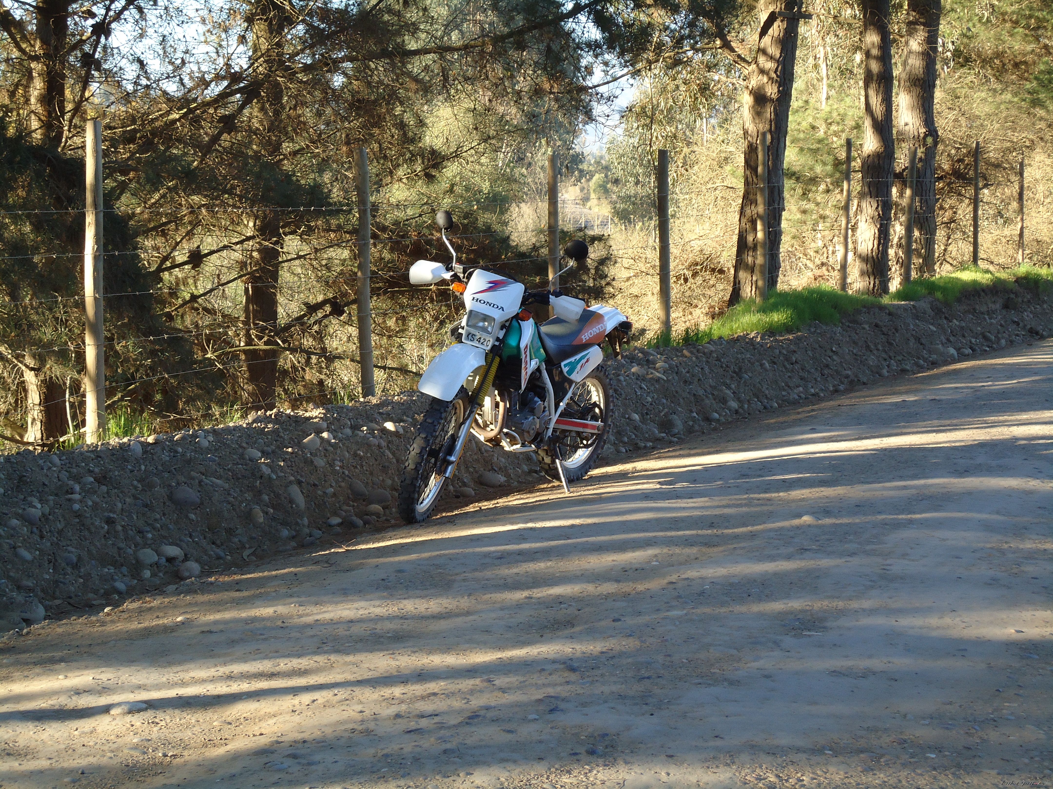 Photo 2270983
