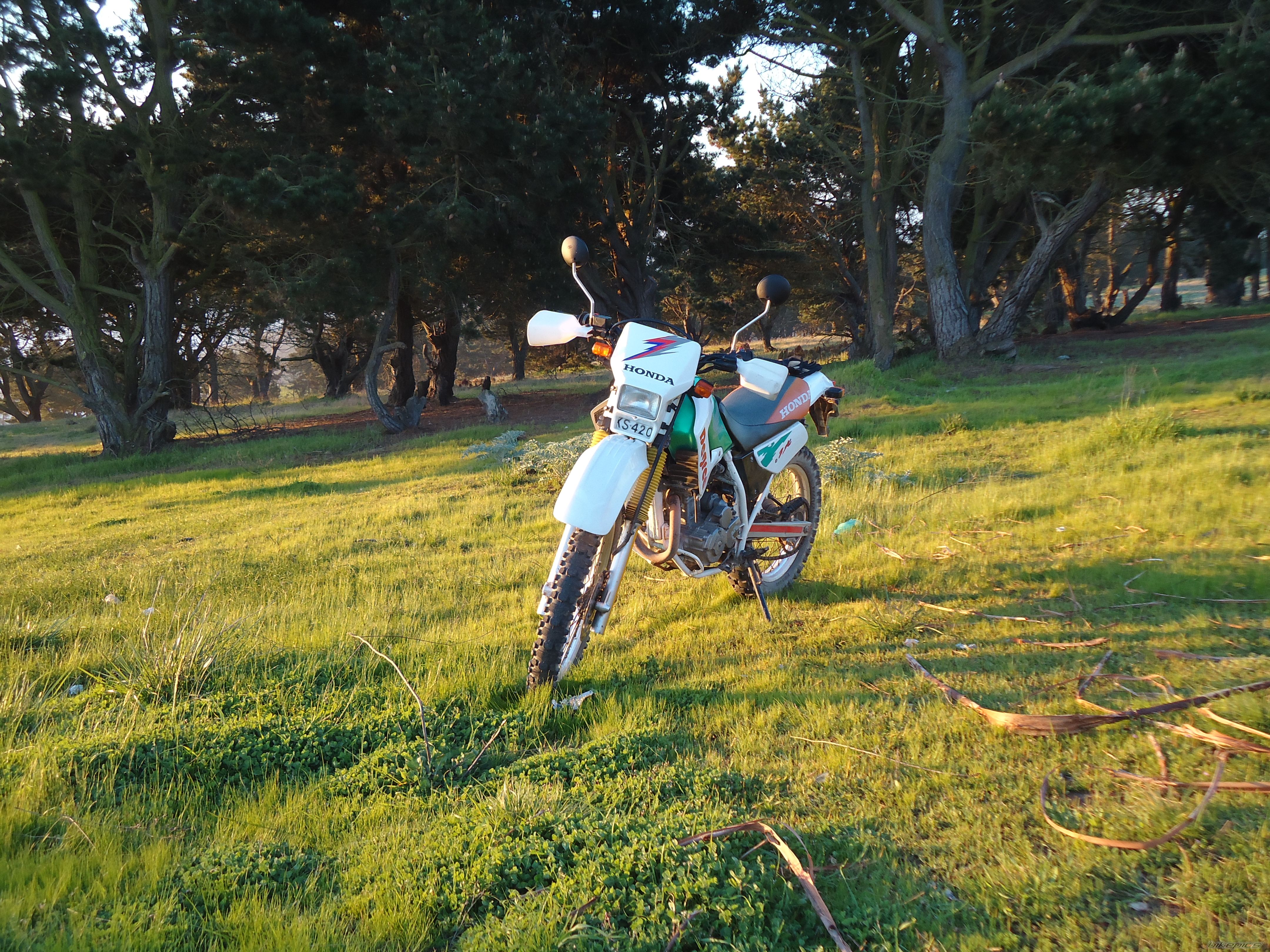 Photo 2270988