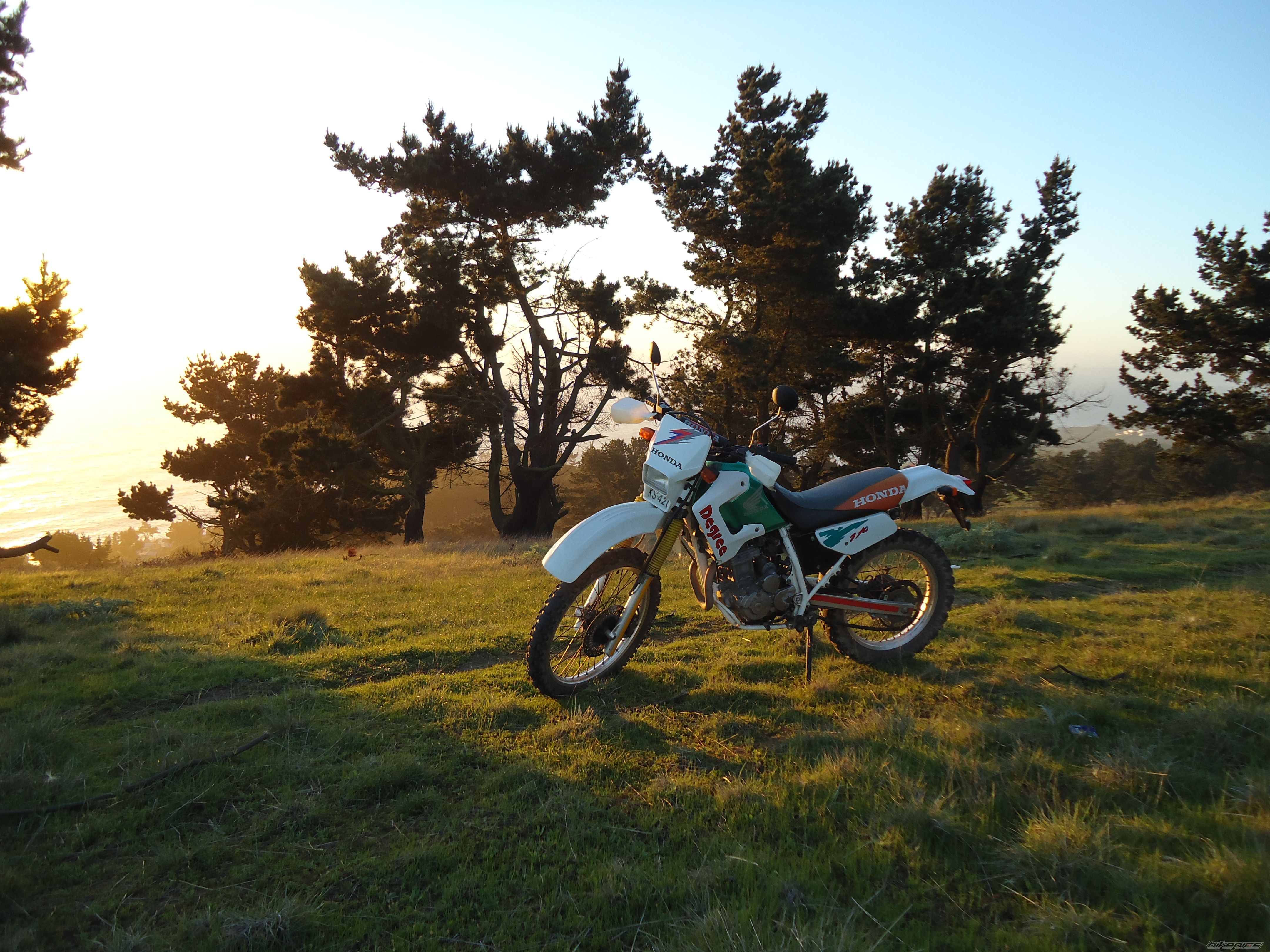 Photo 2270990