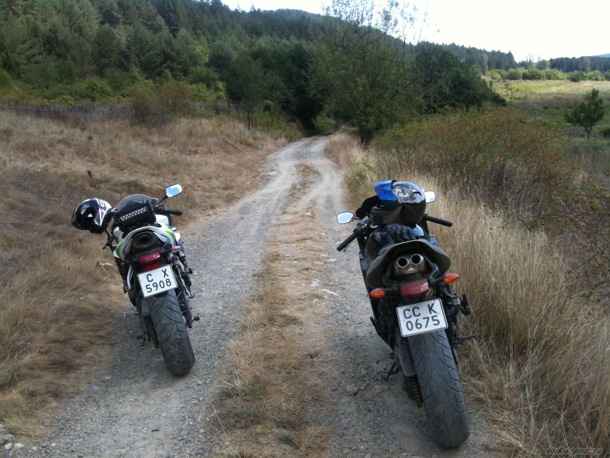 Photo 2271010
