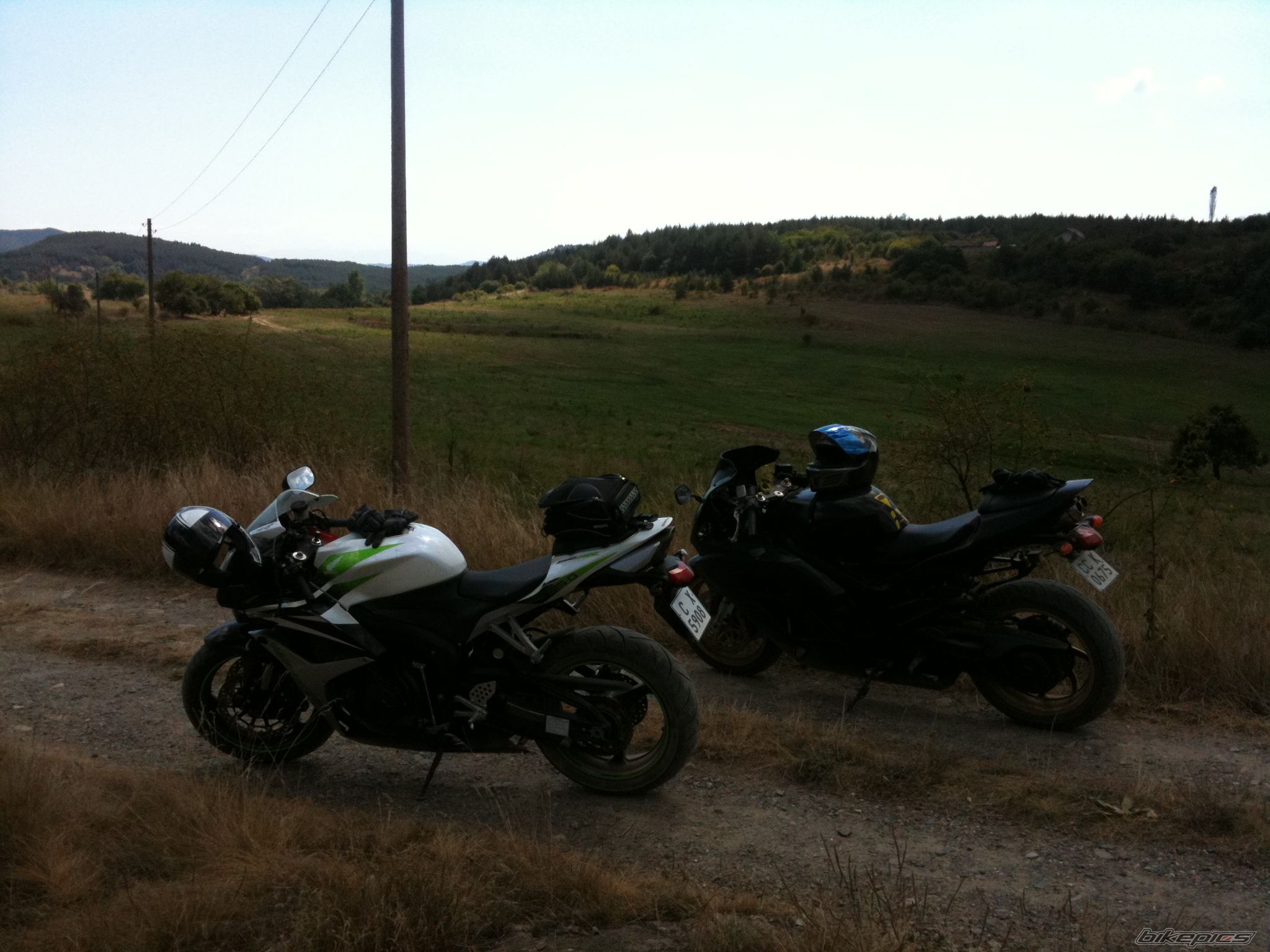 Photo 2271011