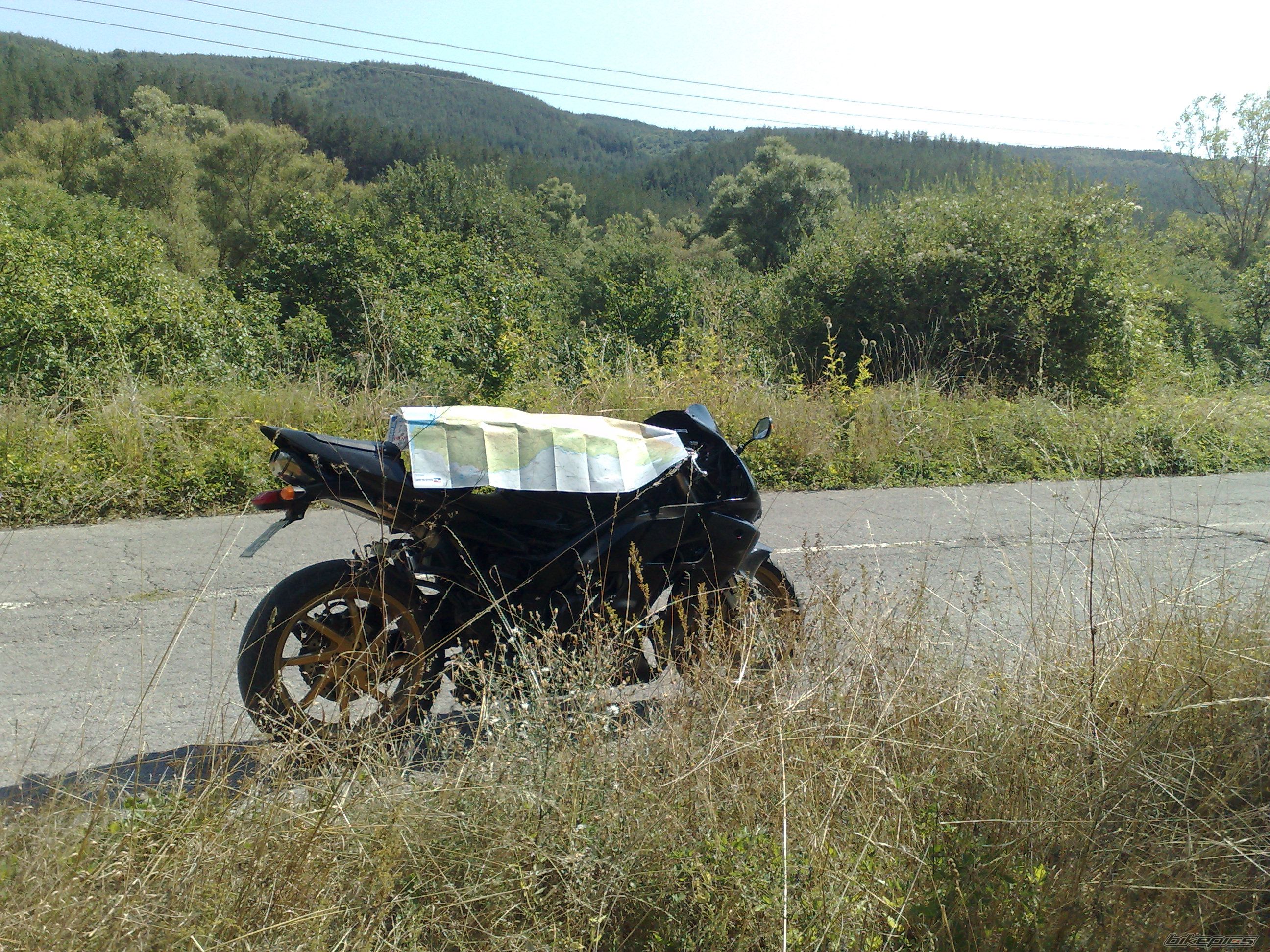 Photo 2271015