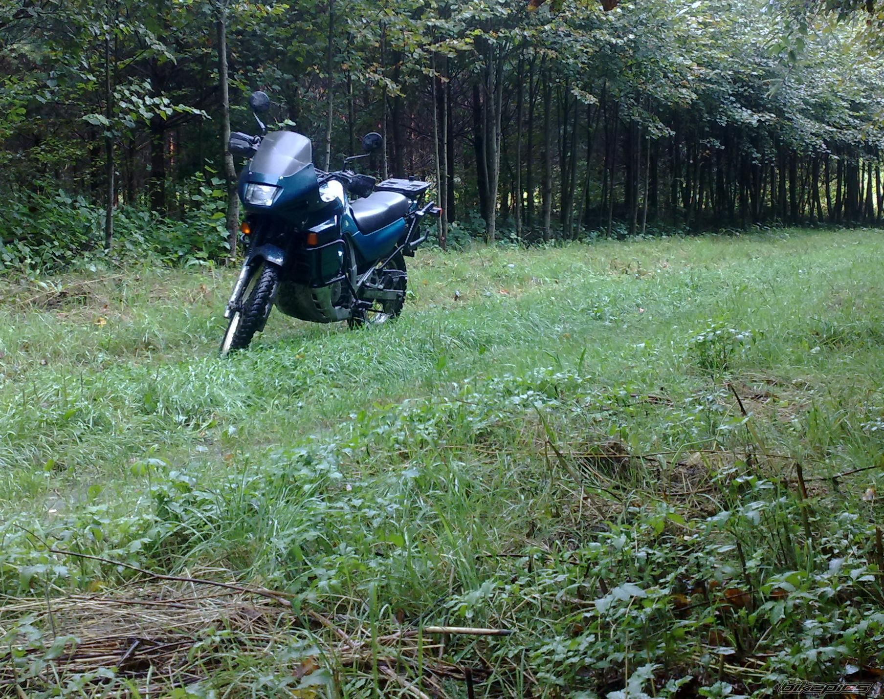 Photo 2271156