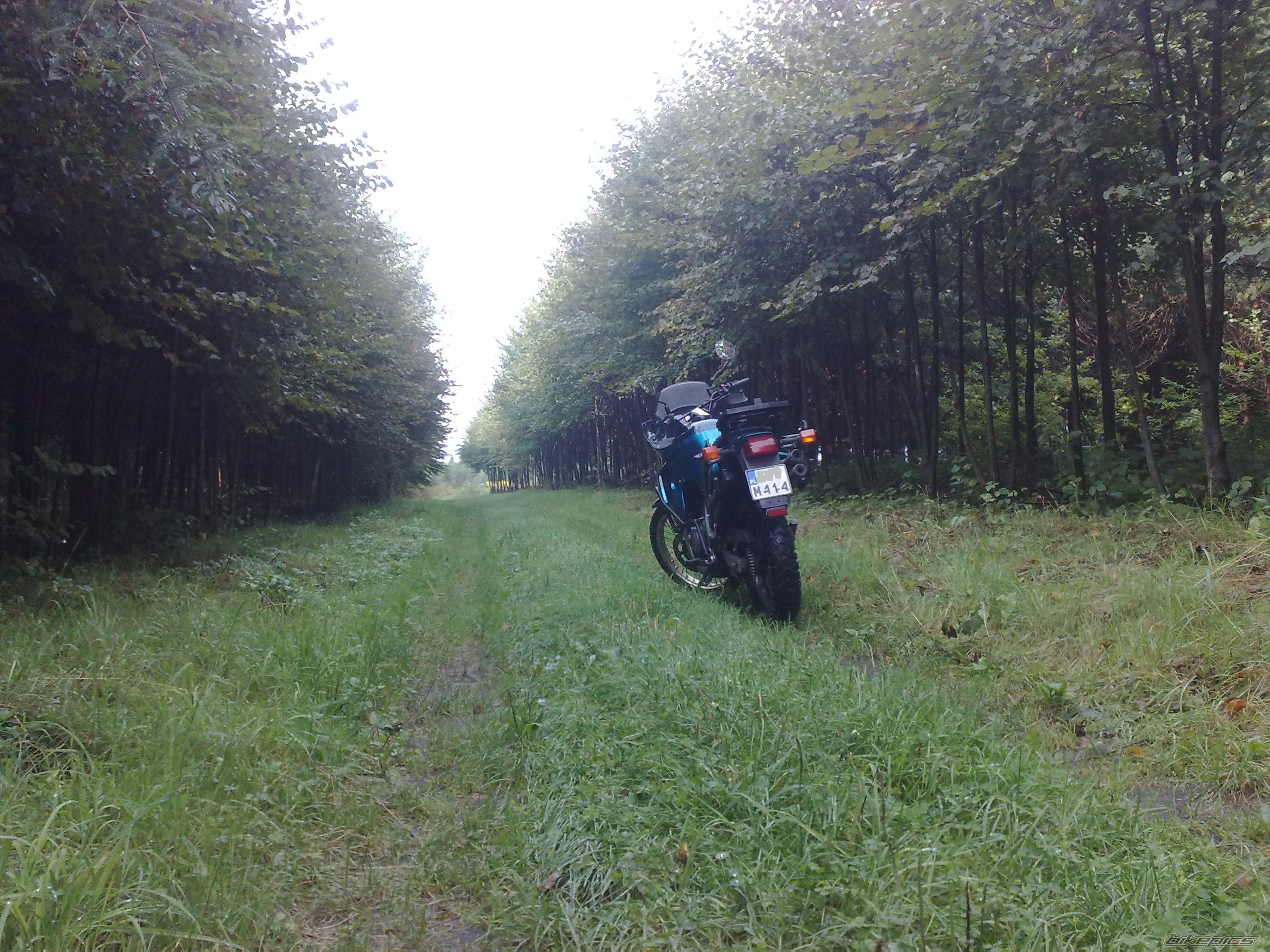Photo 2271162