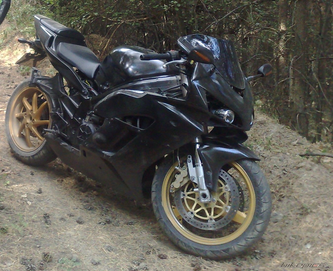 Photo 2271240