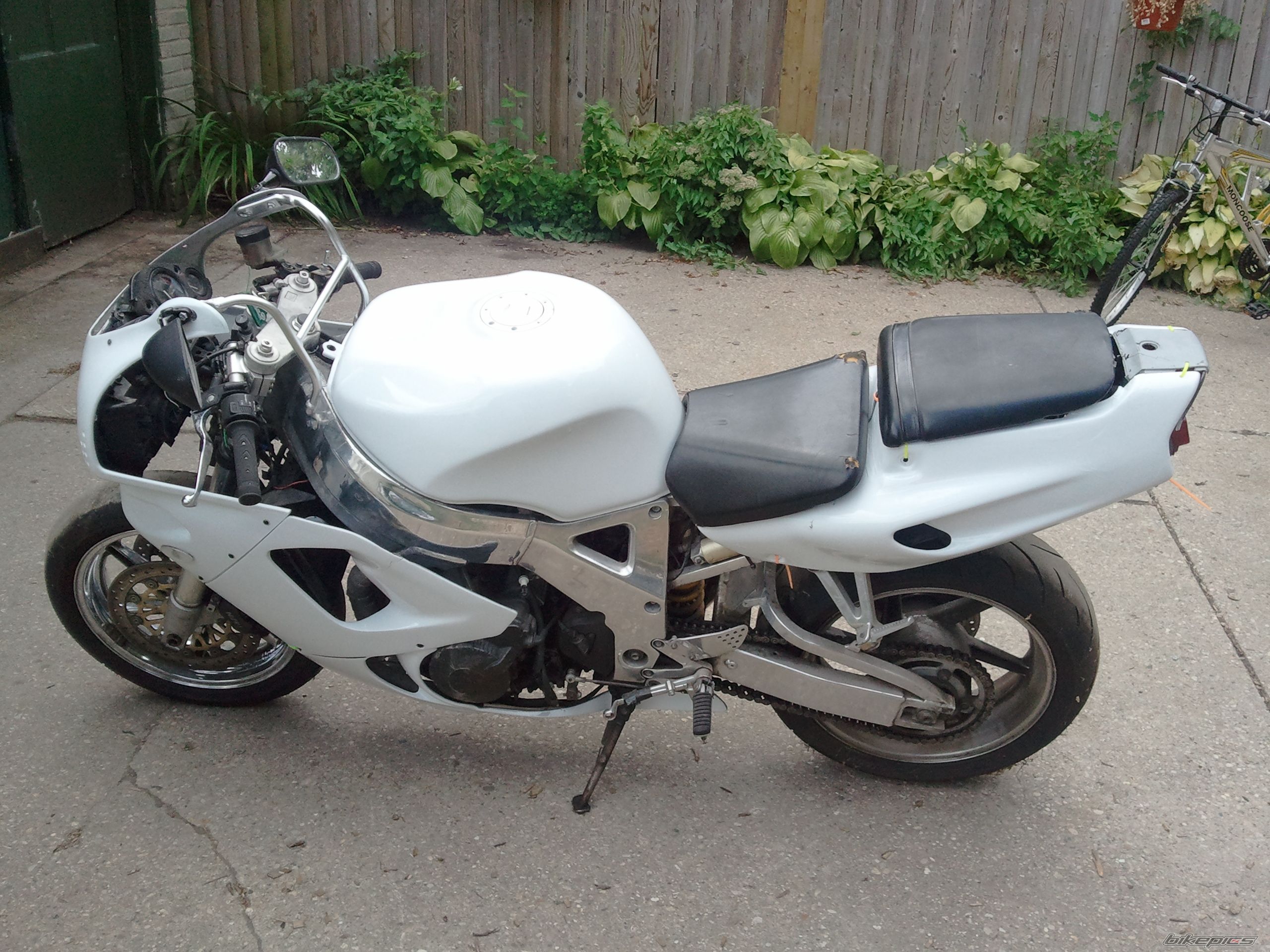 Photo 2271271