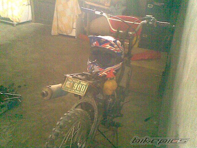 Photo 2271293