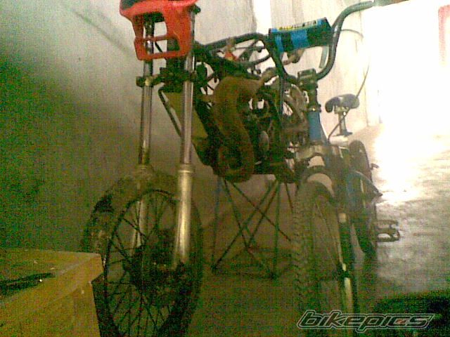 Photo 2271298