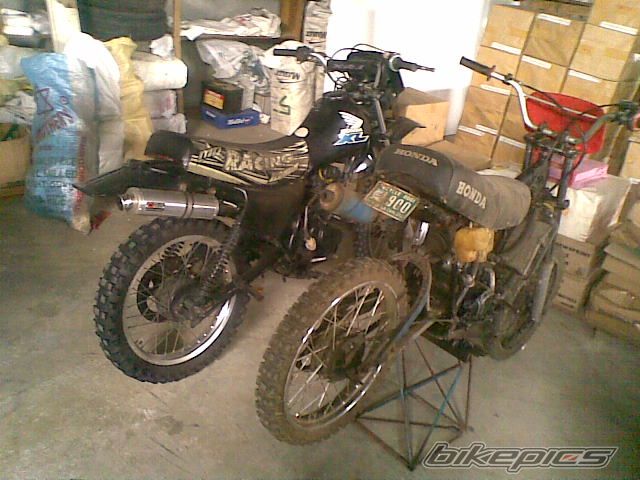 Photo 2271306