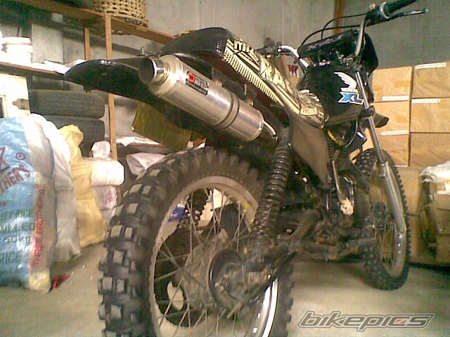Photo 2271319