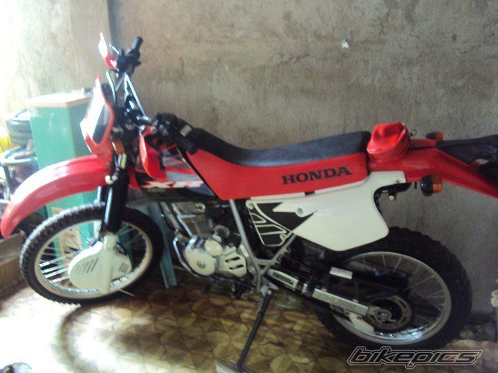 Photo 2271397