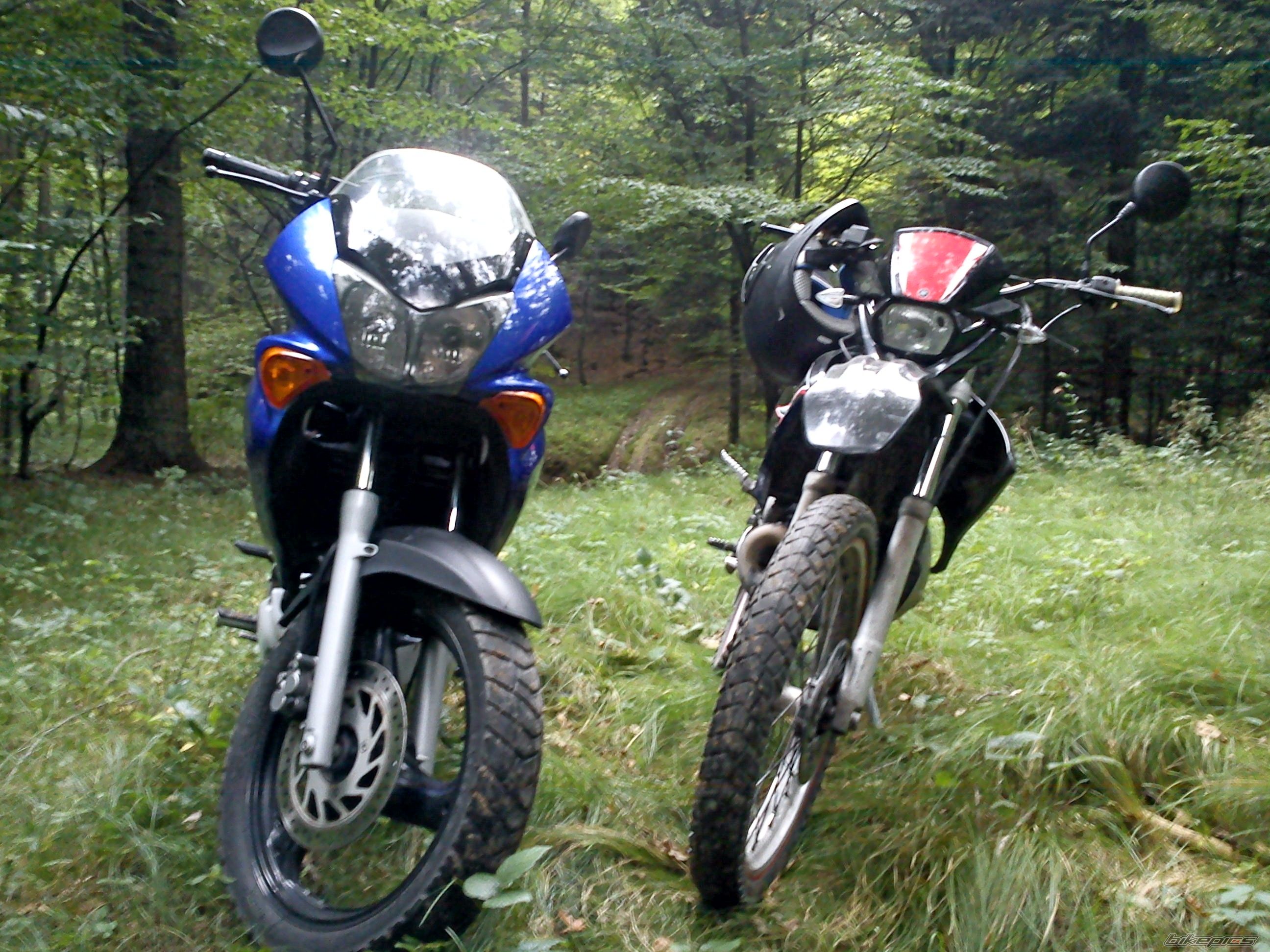 Photo 2271445