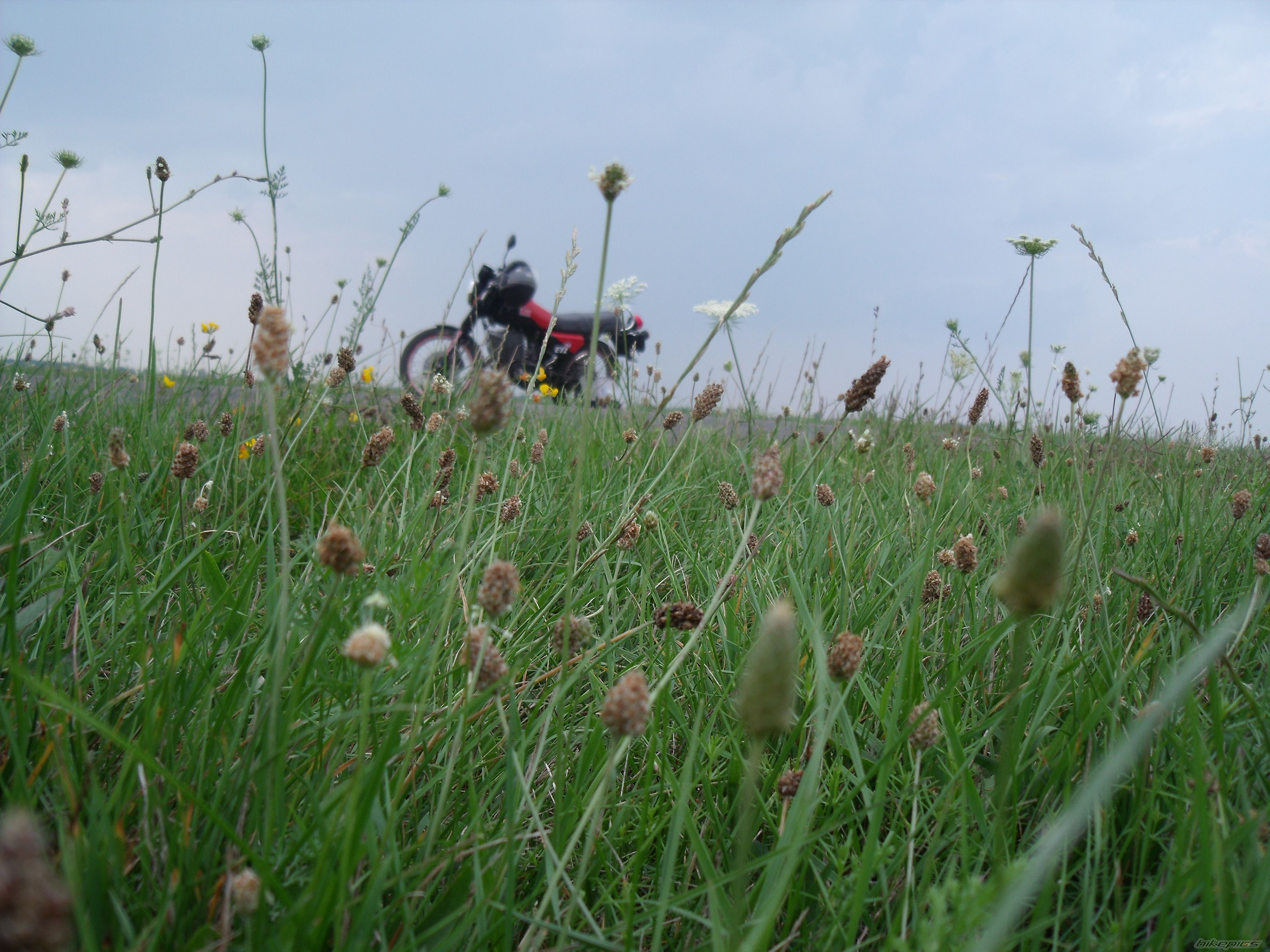 Photo 2271485