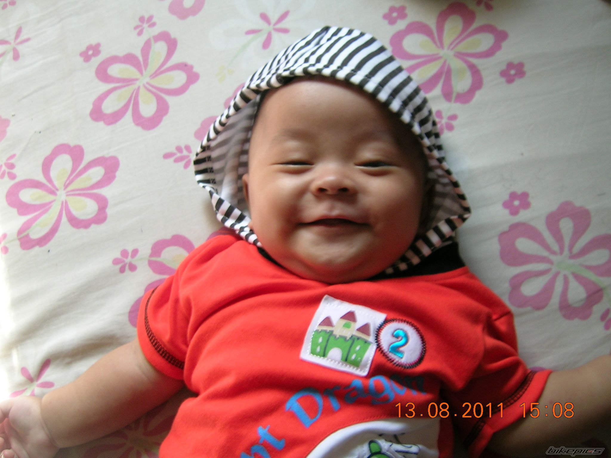 Photo 2271533