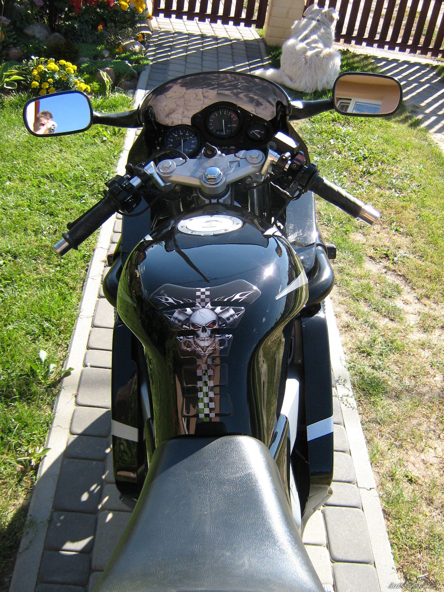 Photo 2271651