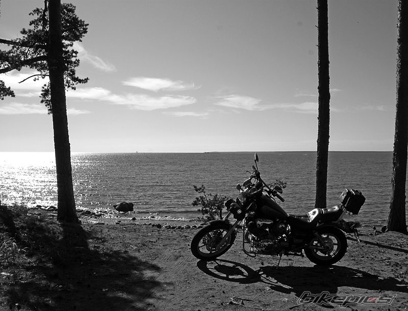 Photo 2271687
