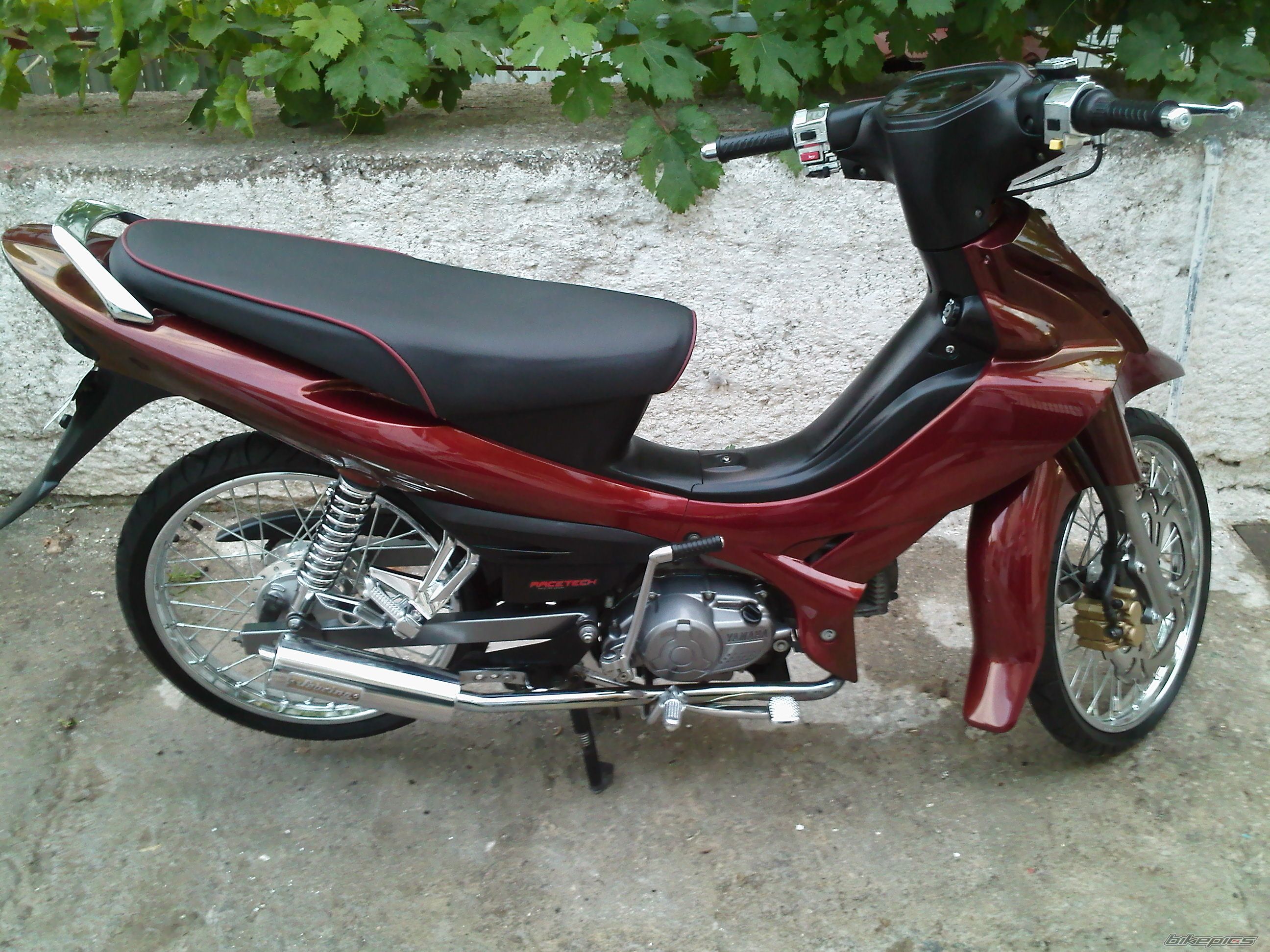 Photo 2271715