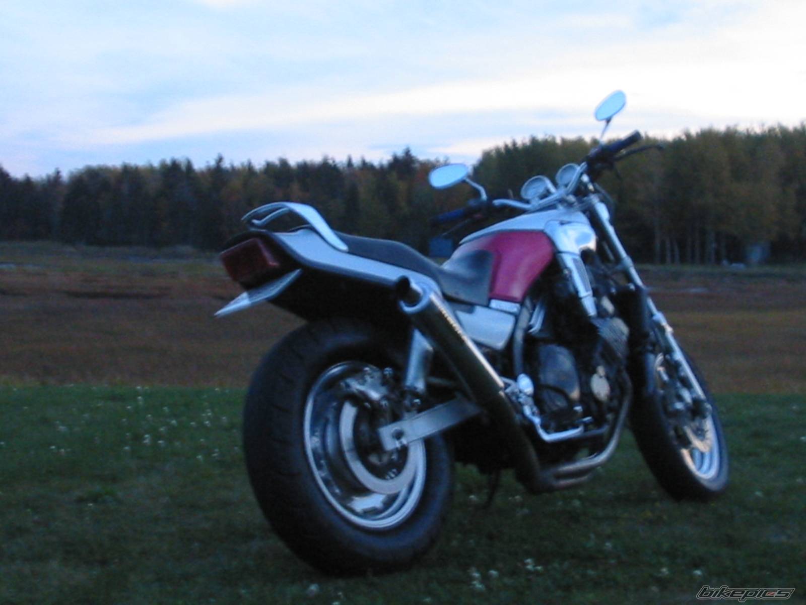 Photo 227174