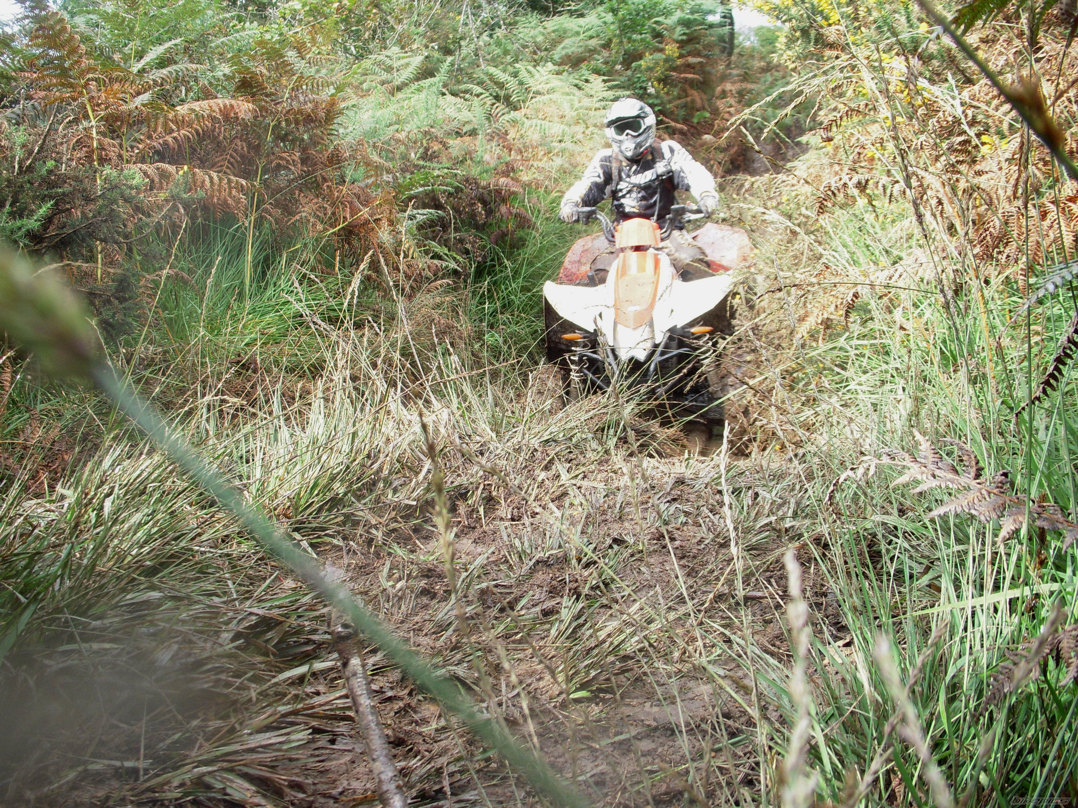 Photo 2271816