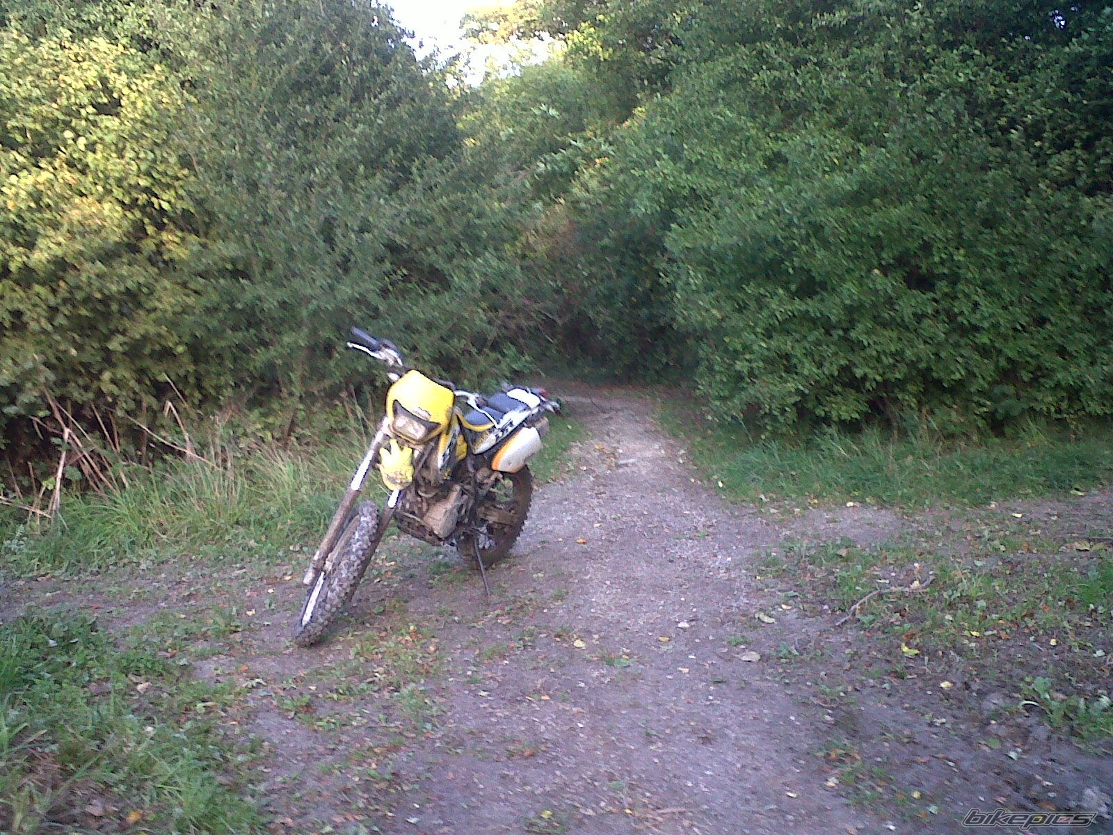 Photo 2271830