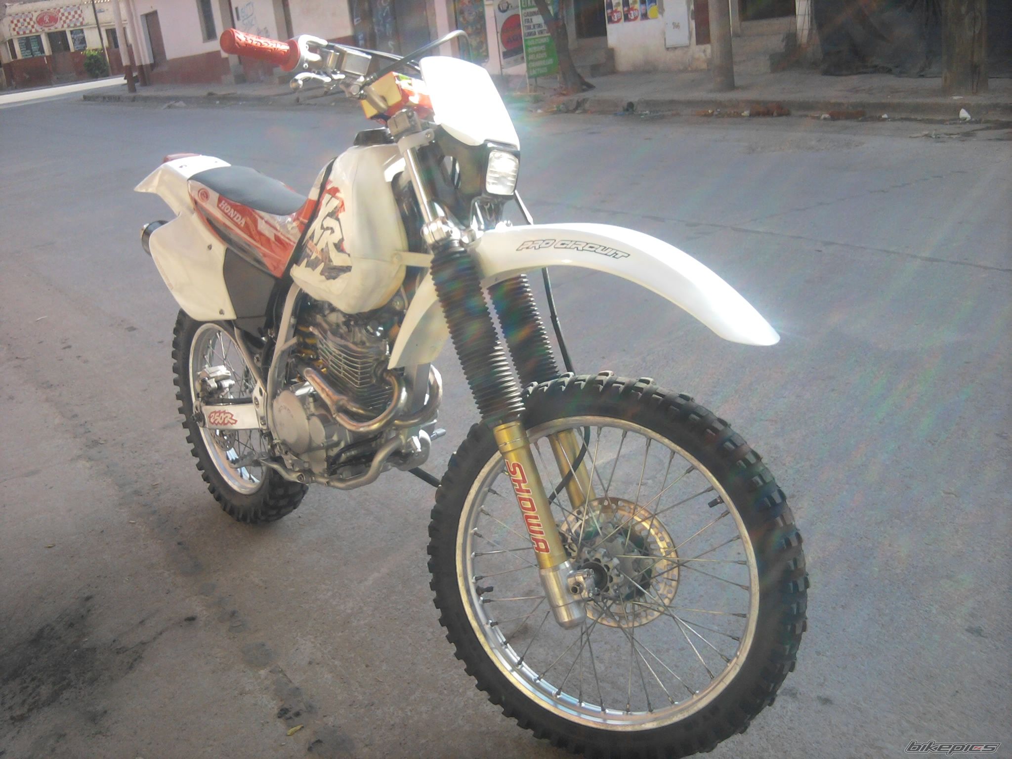 Photo 2271909