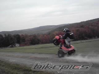 Photo 227193