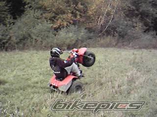 Photo 227198