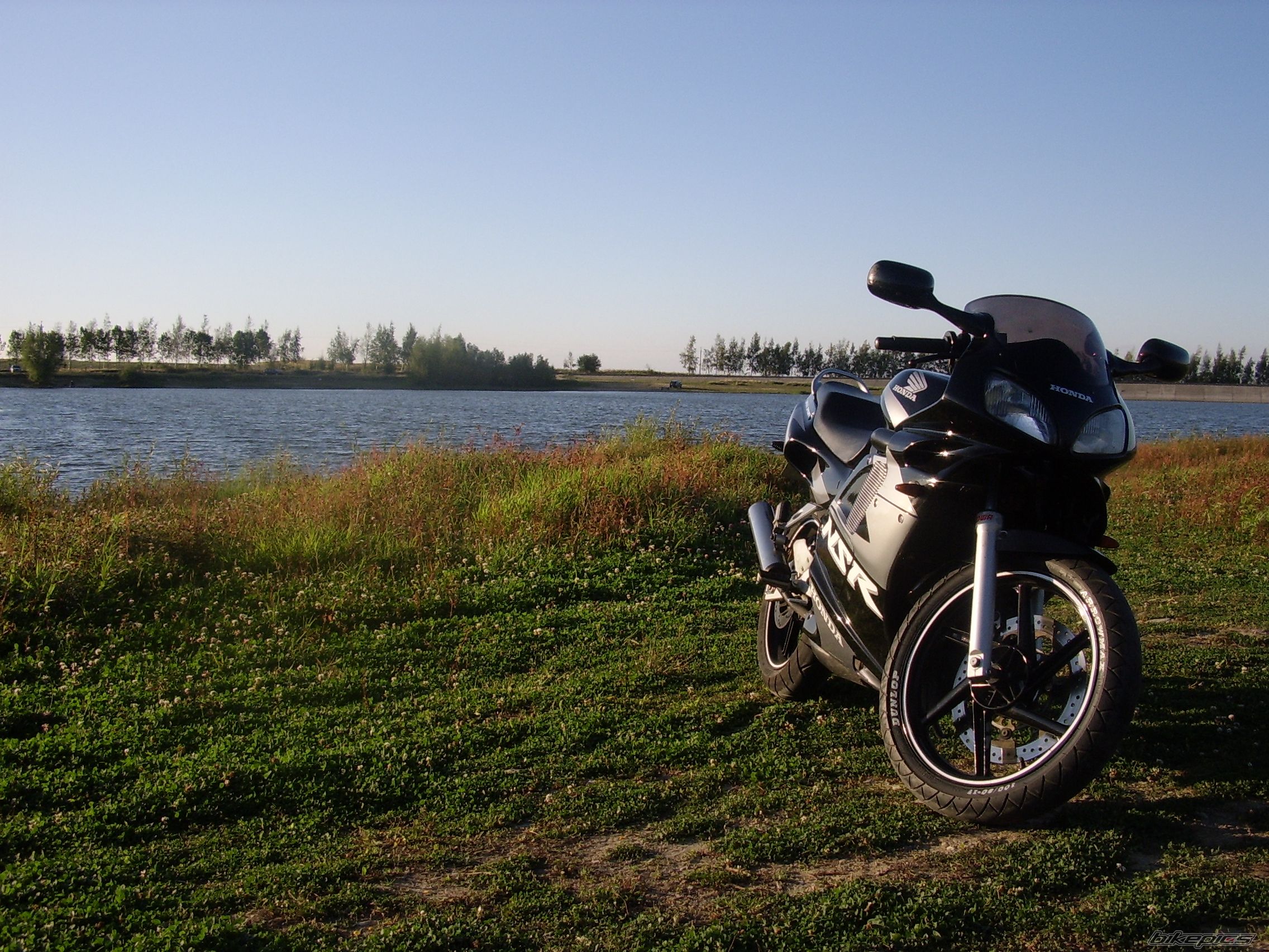 Photo 2272192