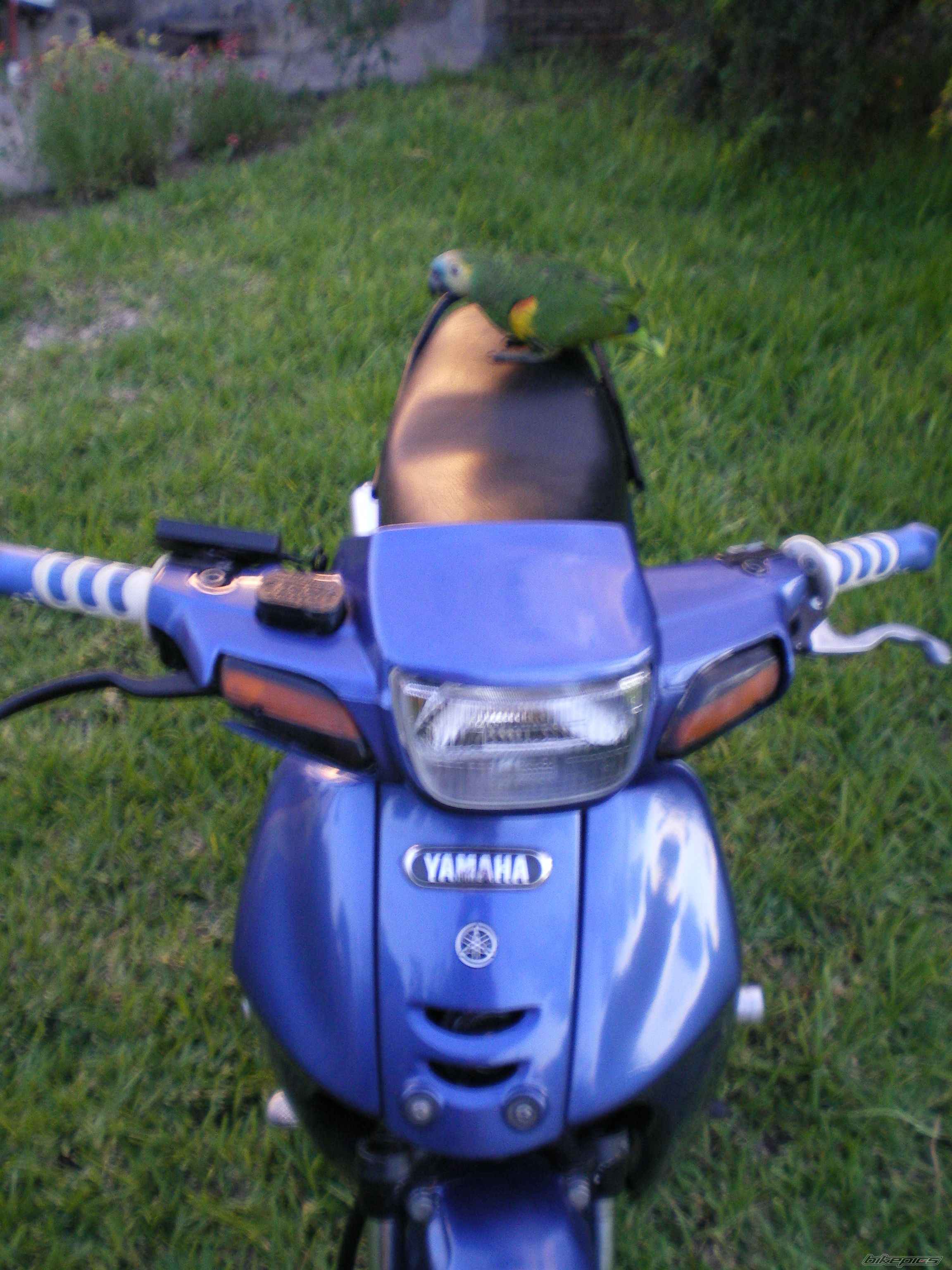 Photo 2272391
