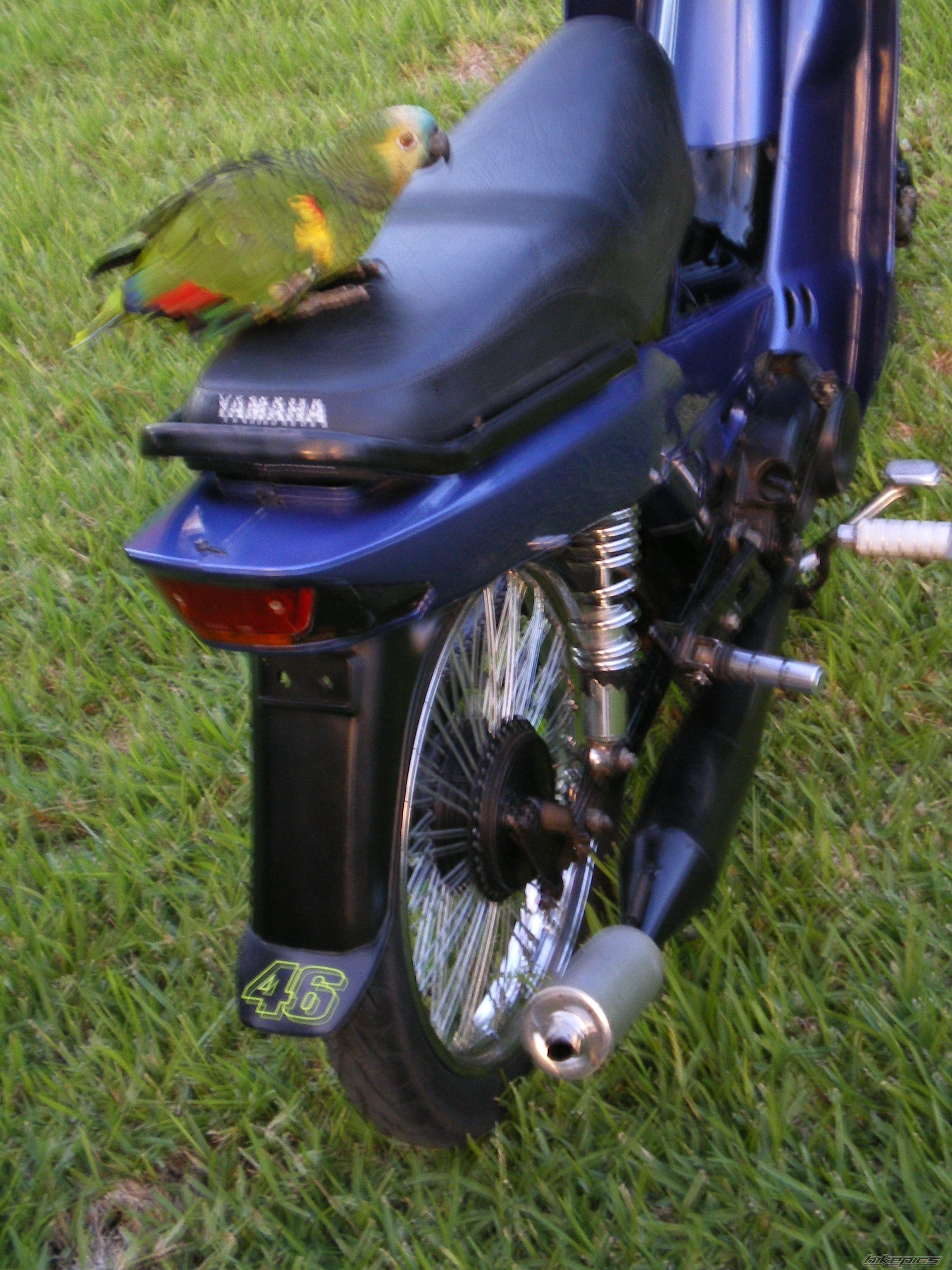 Photo 2272392