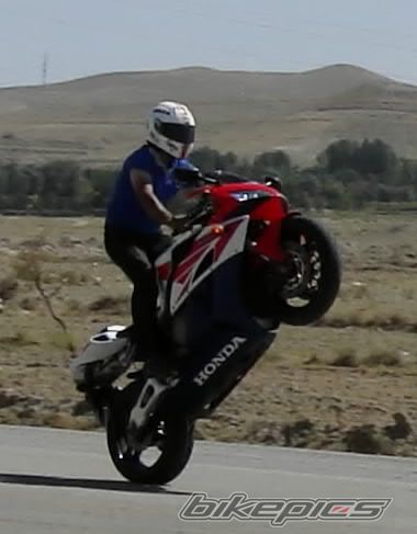 Photo 2272409
