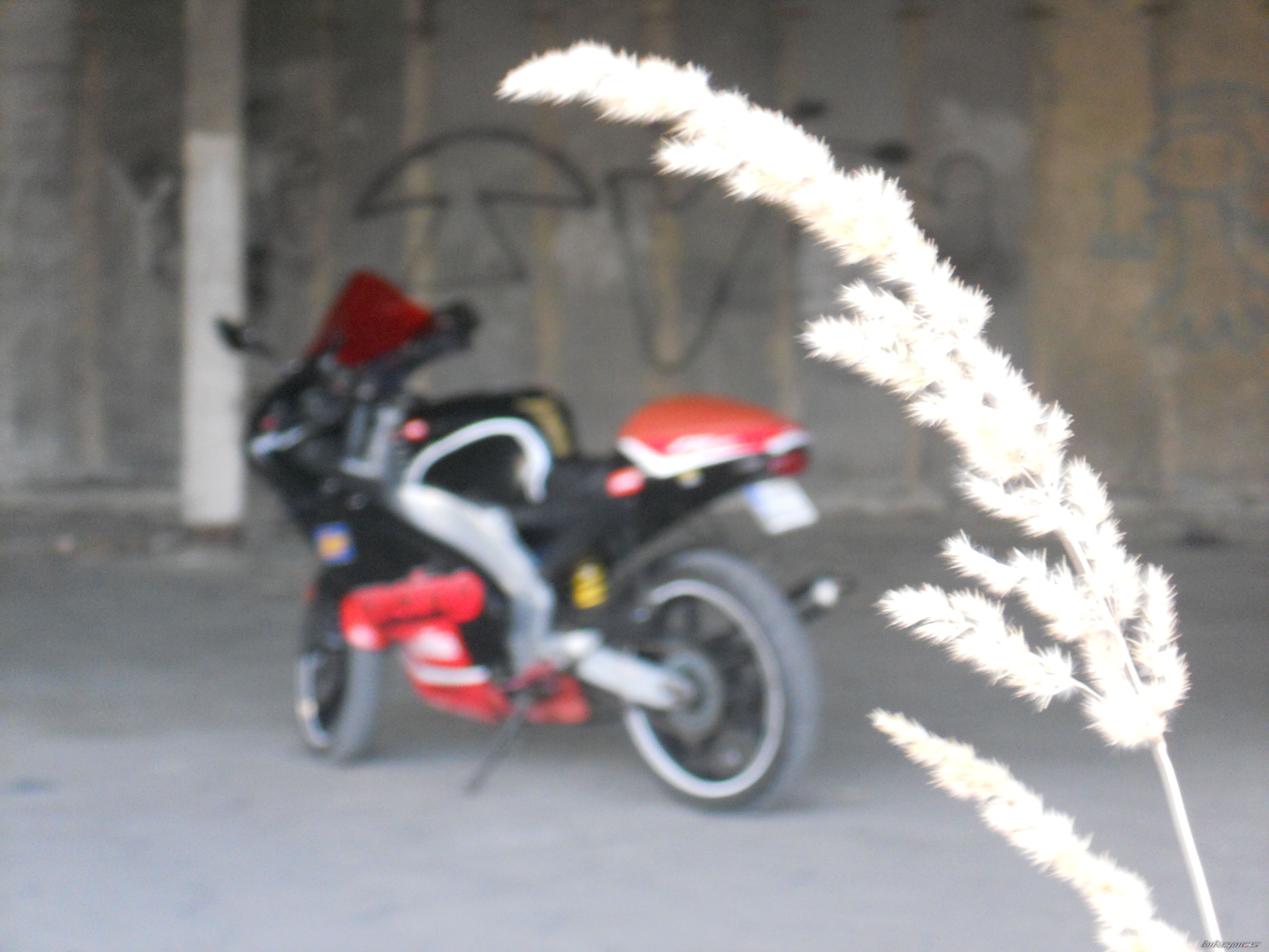 Photo 2272534