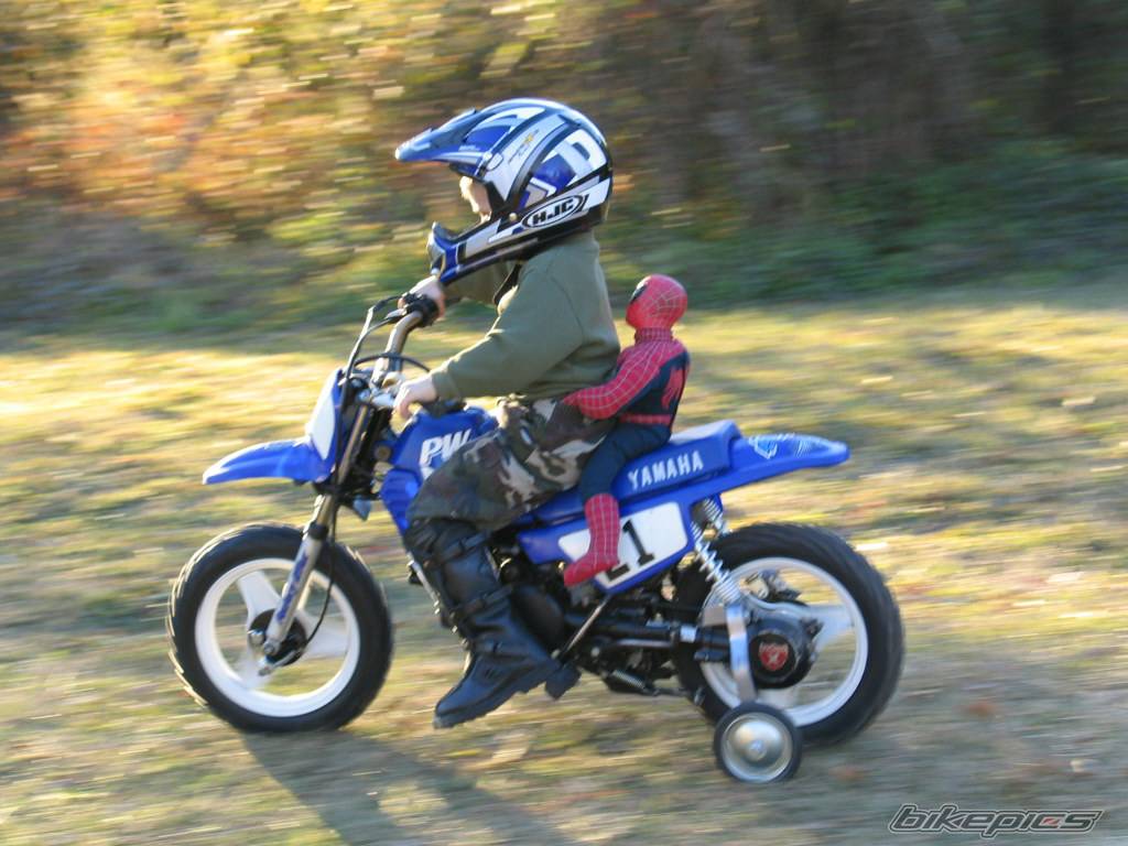 Photo 227260