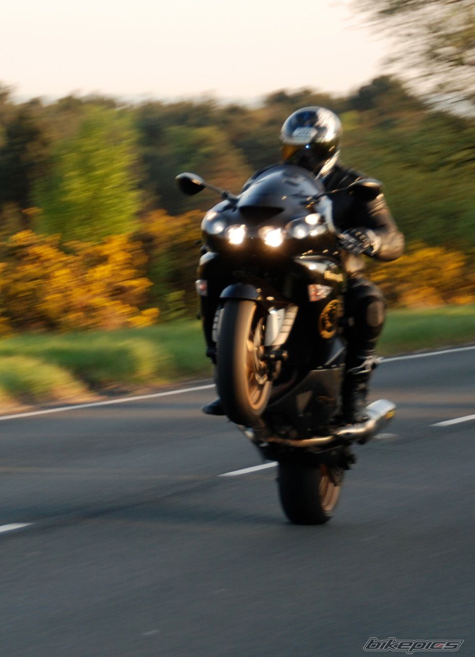 Photo 2272622