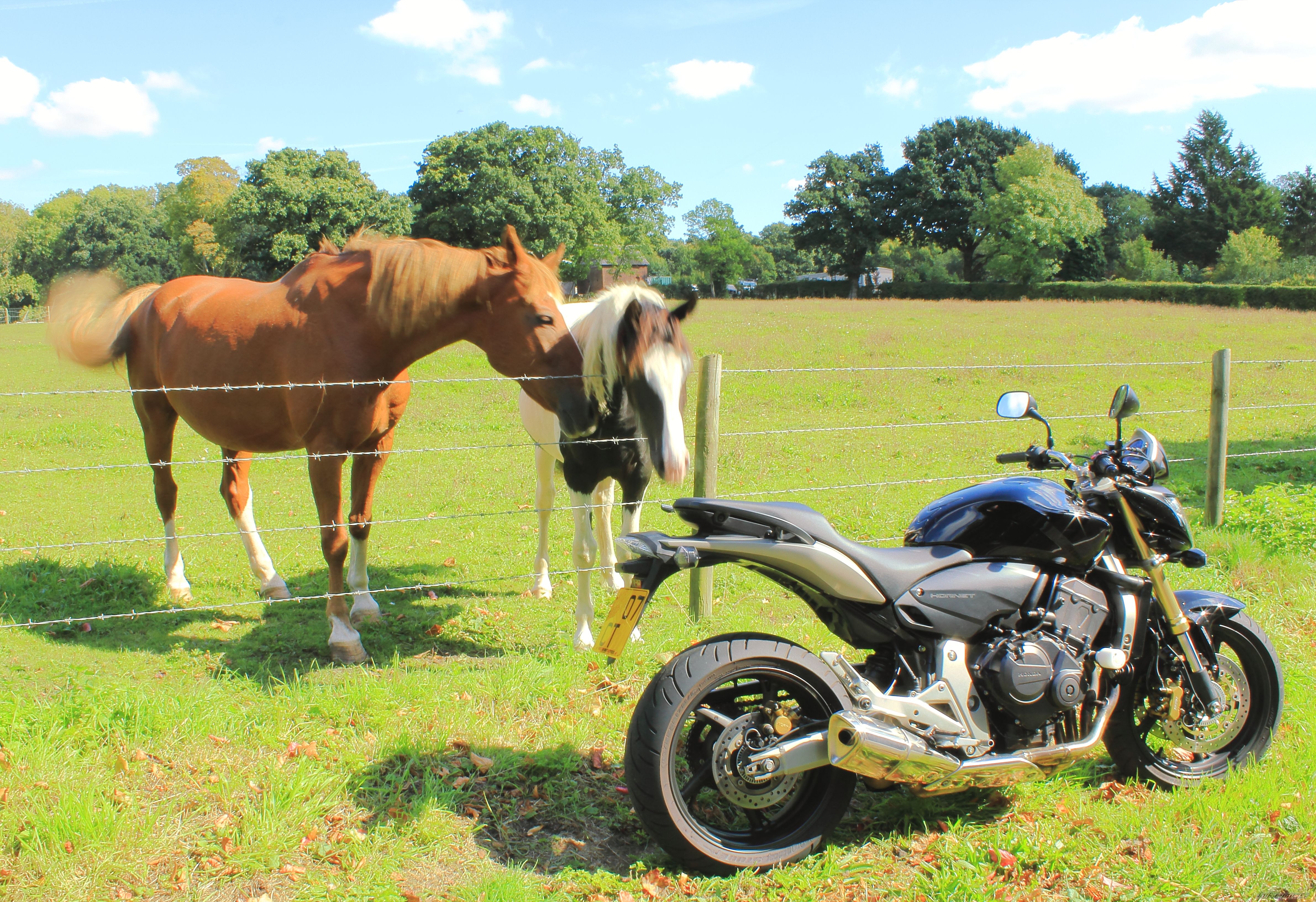 Photo 2272625