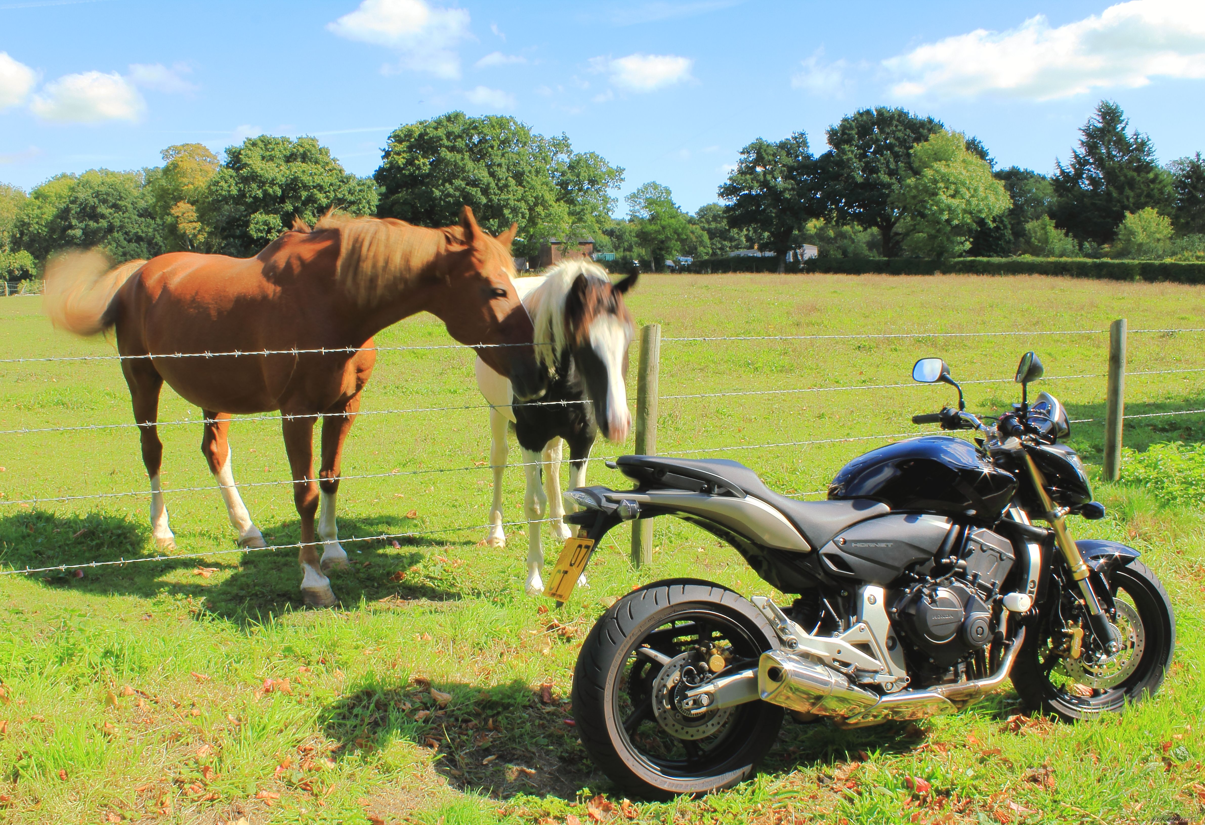 Photo 2272628