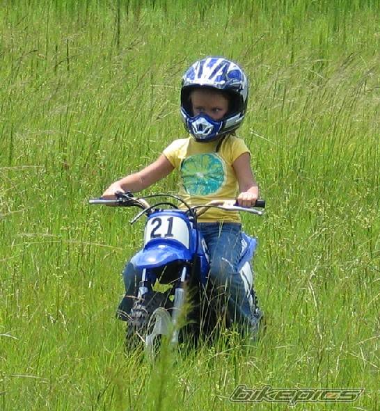 Photo 227269