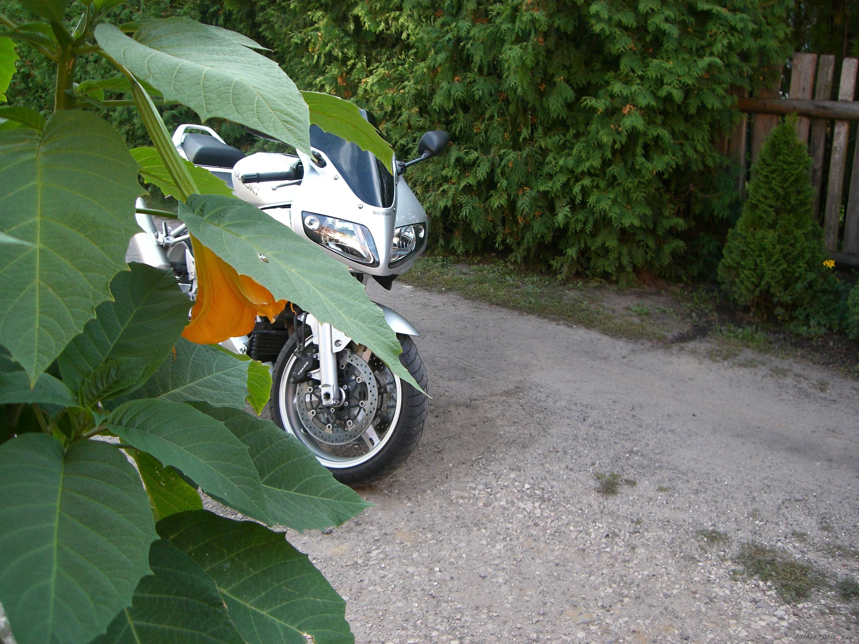 Photo 2272774