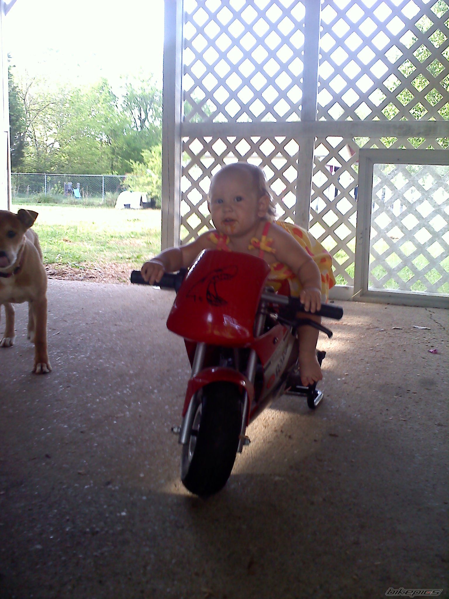 Photo 2272897