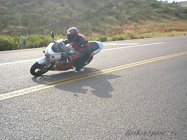 Photo 2273