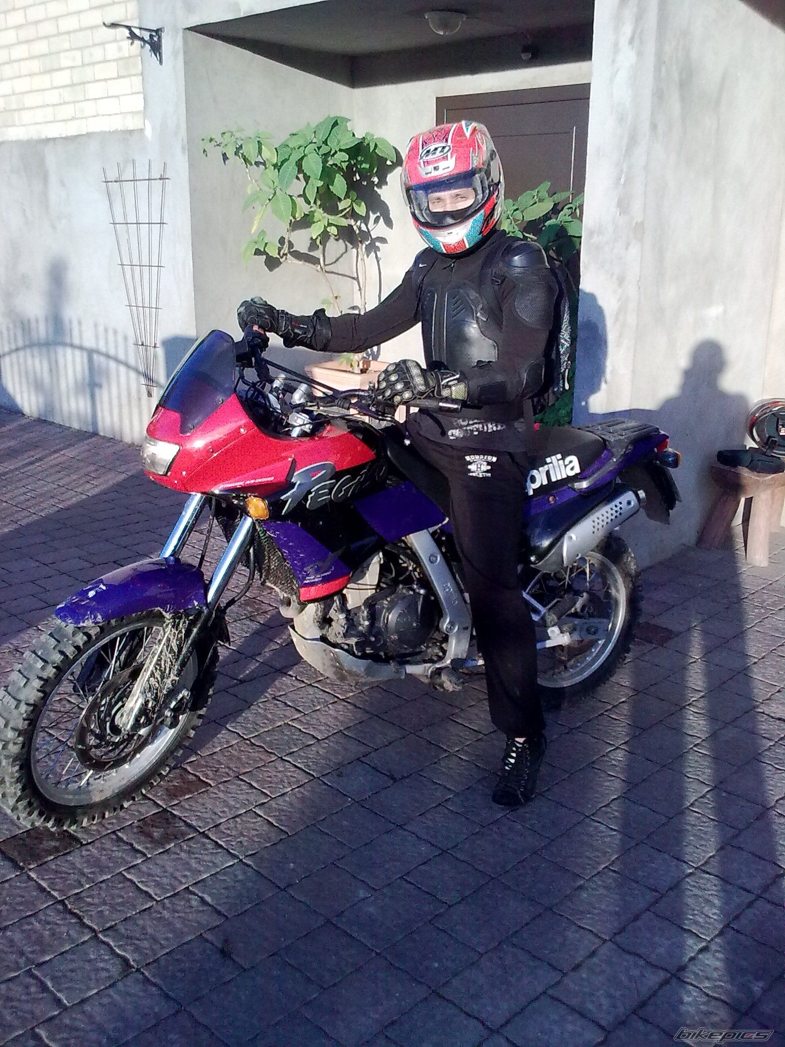 Photo 2273050
