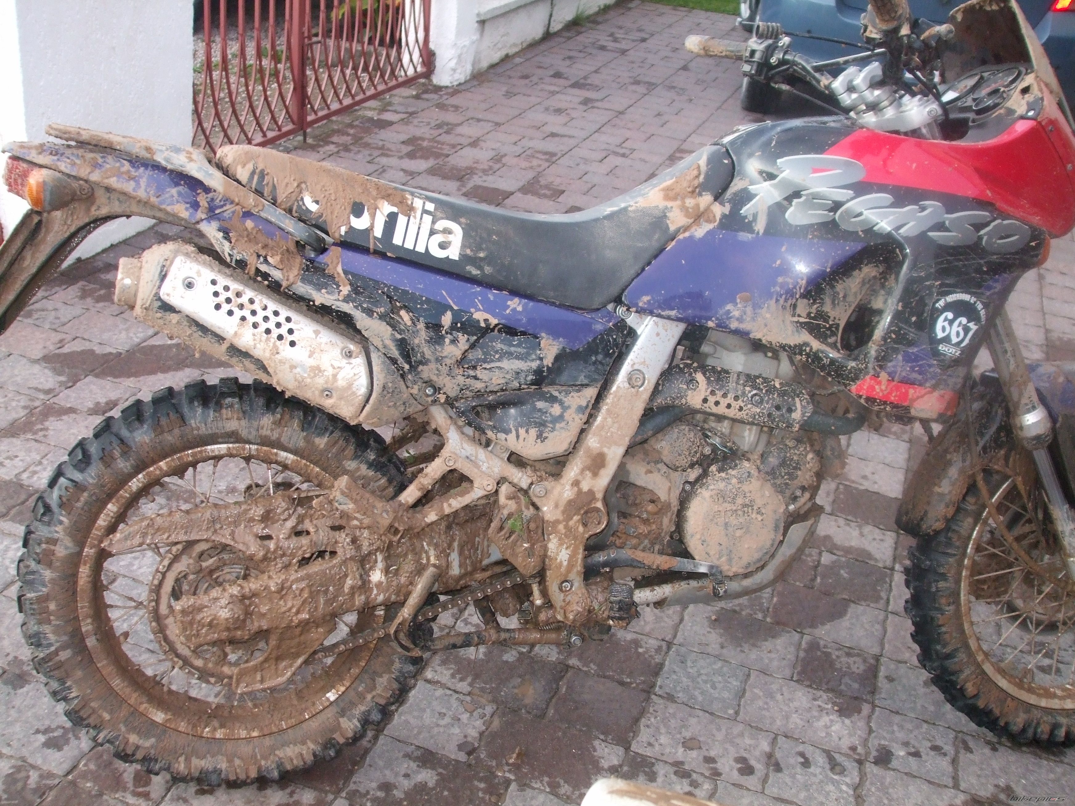 Photo 2273052