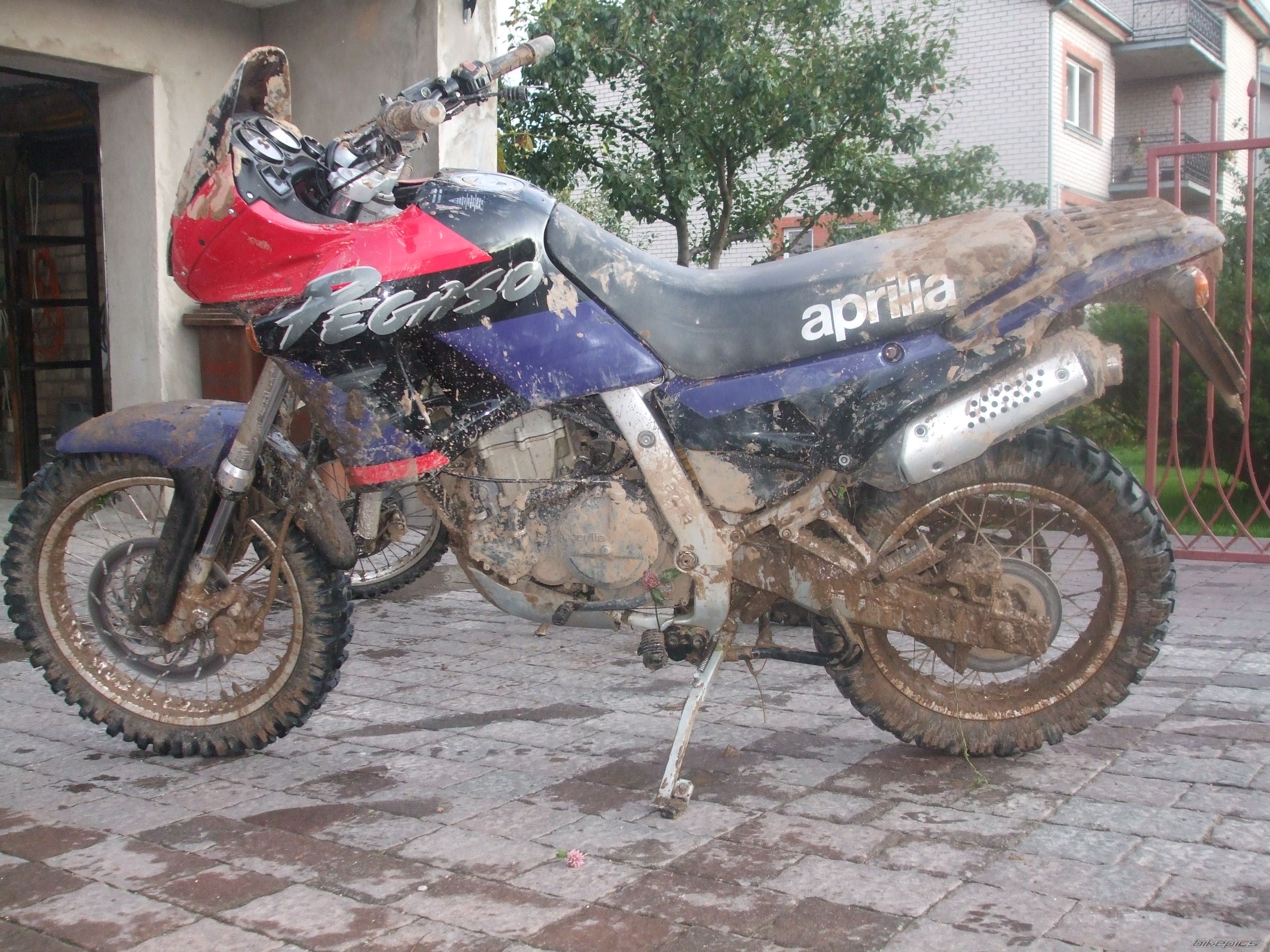Photo 2273054