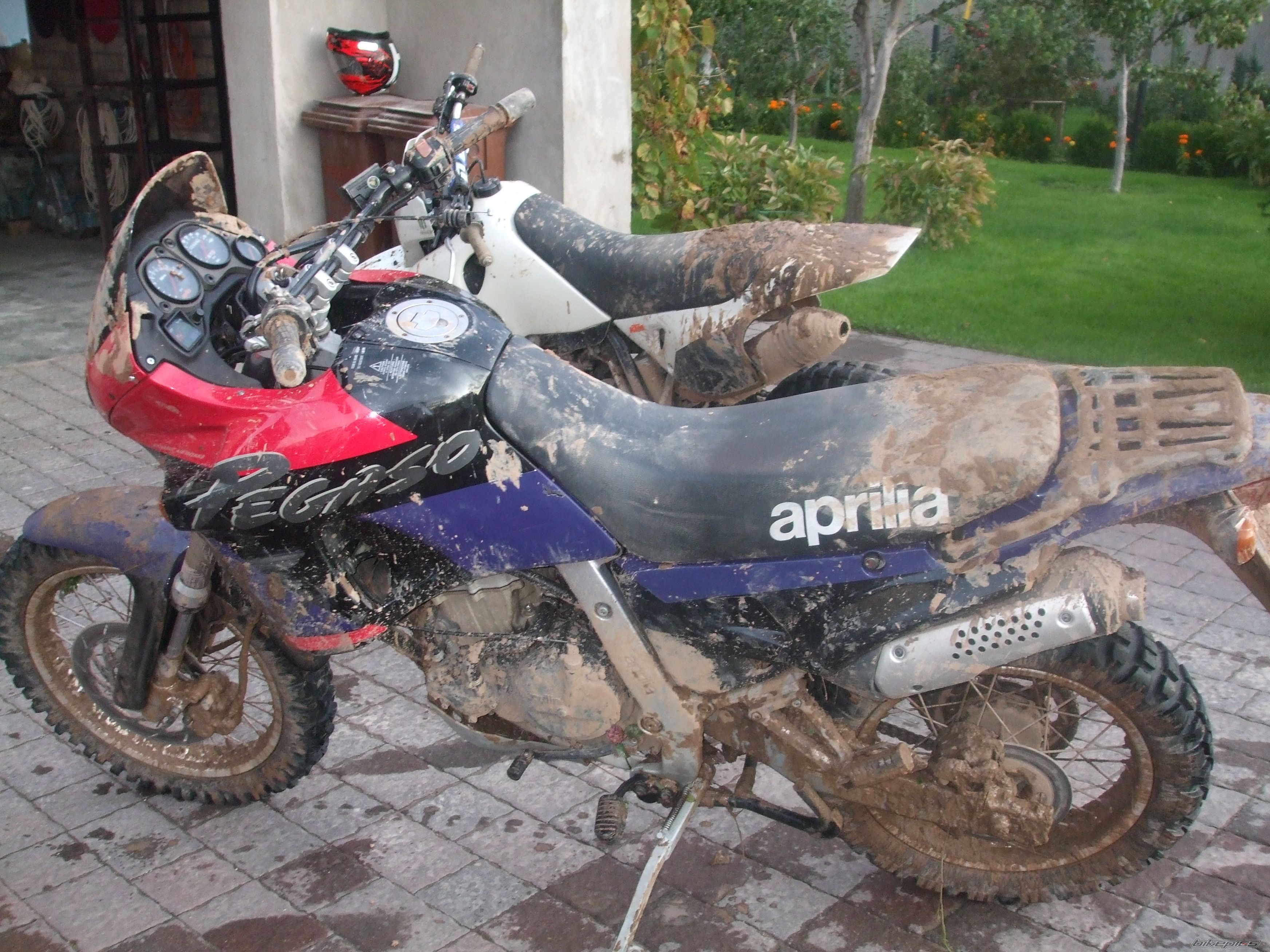 Photo 2273068