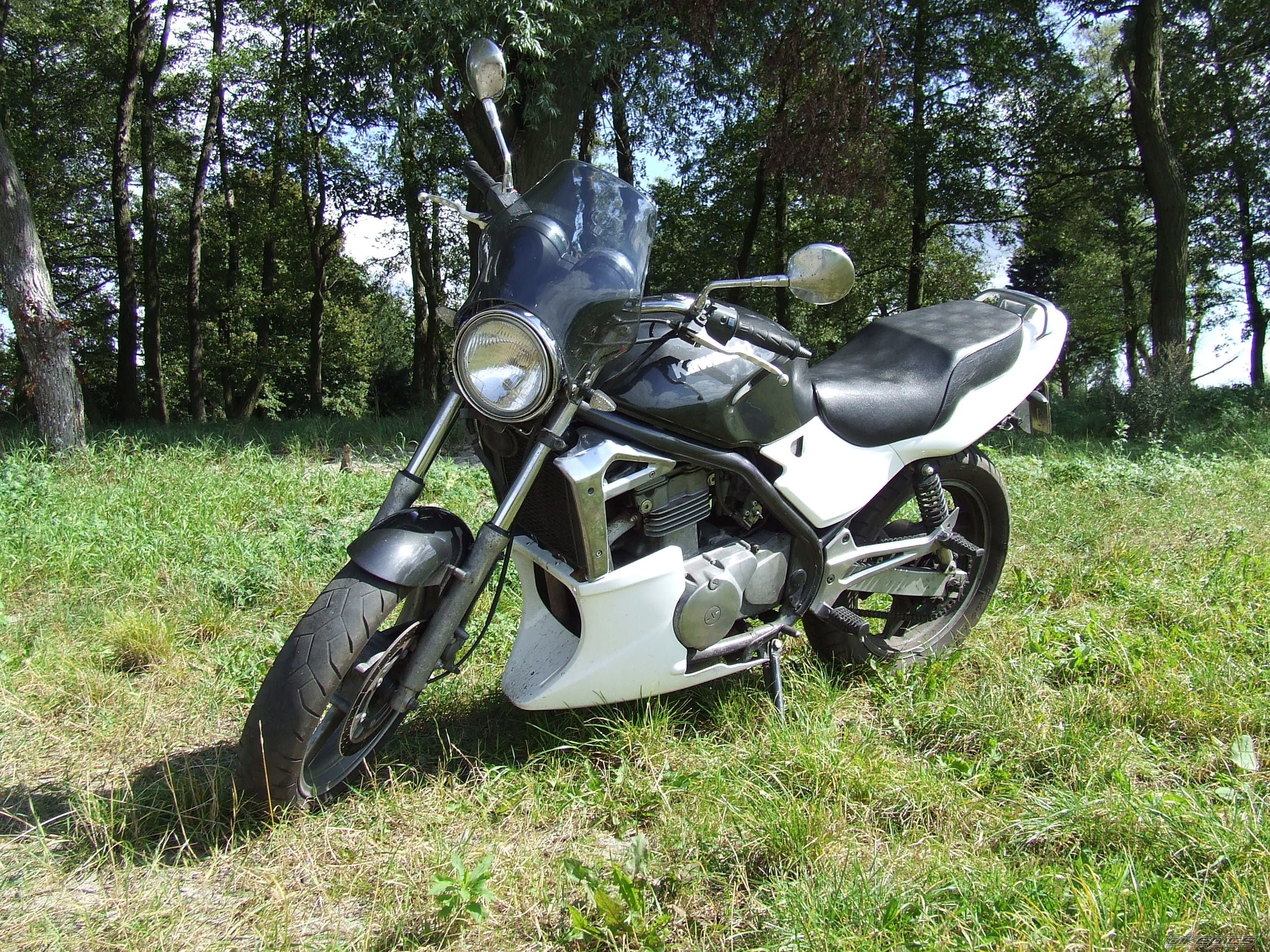 Photo 2273071