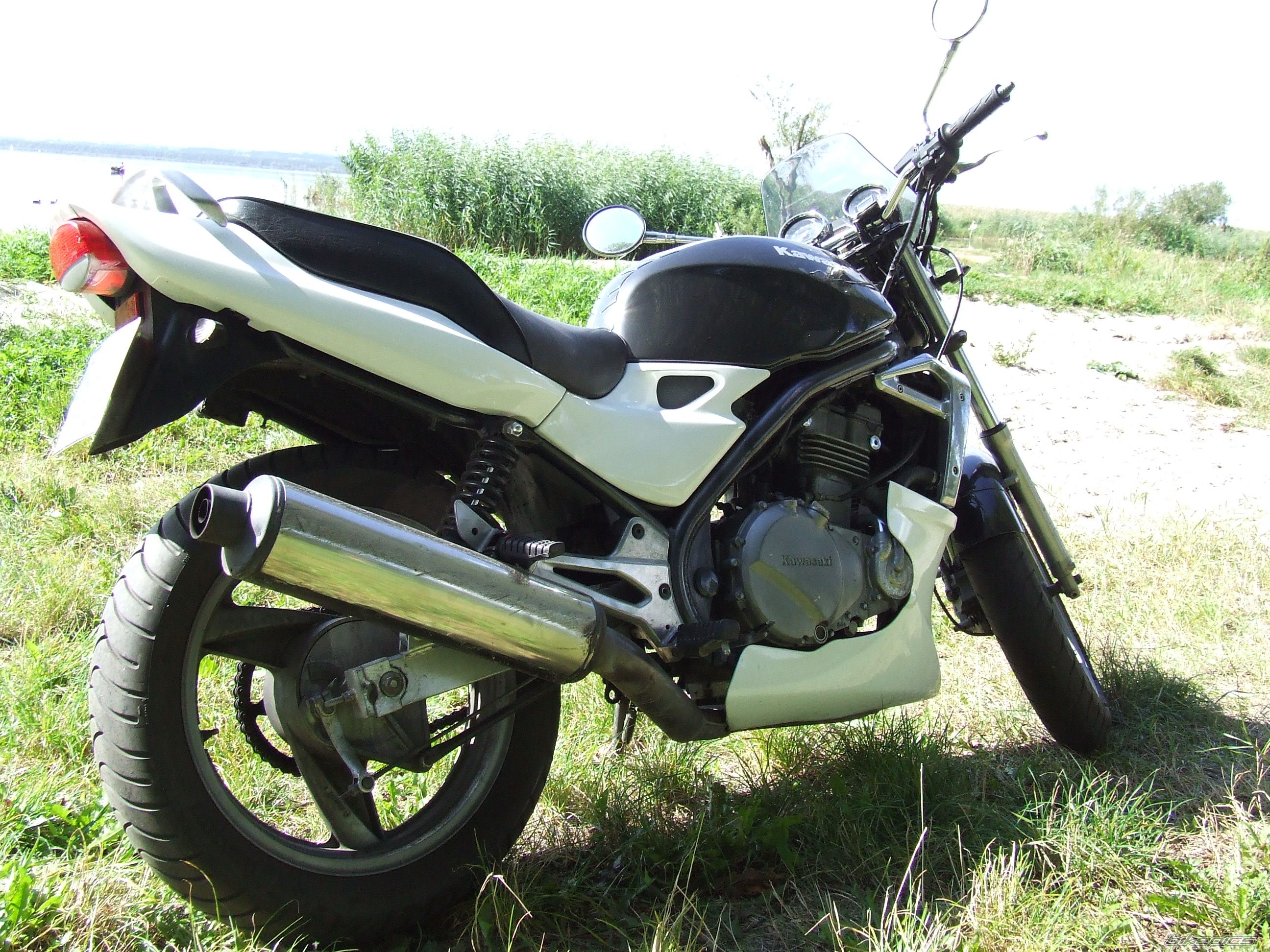 Photo 2273075