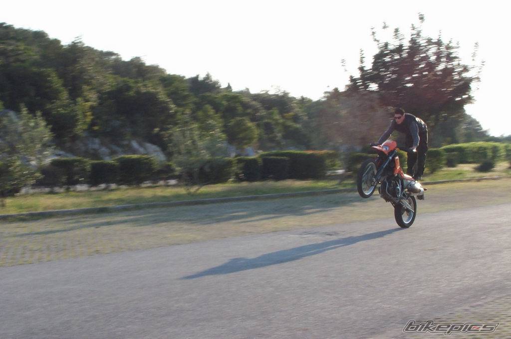 Photo 22733