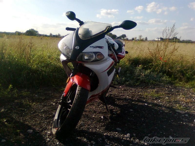 Photo 2273325