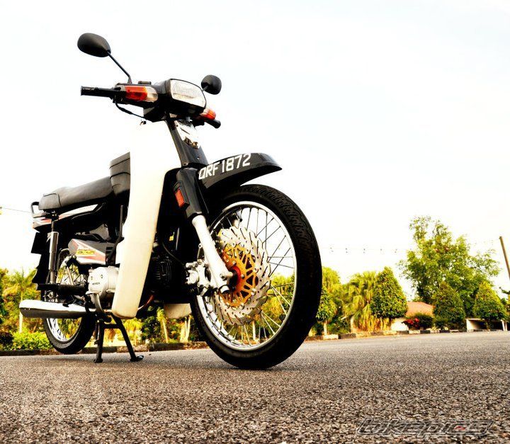 Photo 2273333