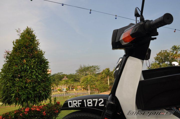 Photo 2273341